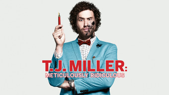 T.J. Miller: Meticulously Ridiculous (2017)