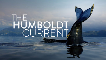 The Humboldt Current (2021)