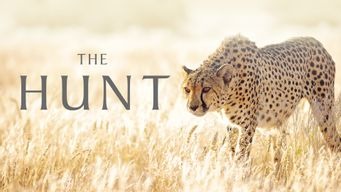 The Hunt (2017)