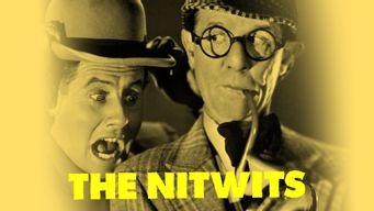 The Nitwits (1935)