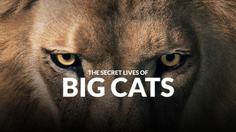The Secret Lives of Big Cats (2019)