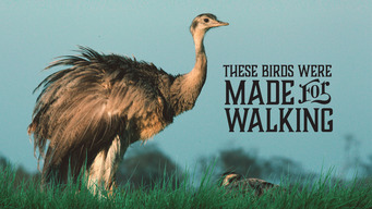 These Birds Were Made For Walking (2020)
