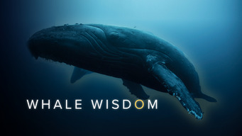 Whale Wisdom (2019)