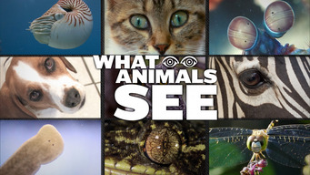 What Animals See (2018)