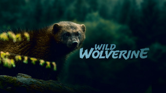 Wild Wolverine (2020)