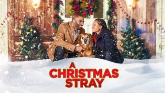 A Christmas Stray (2021)