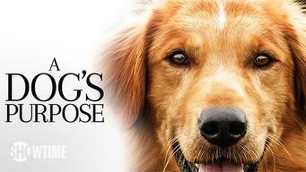 A Dog's Purpose (2017)