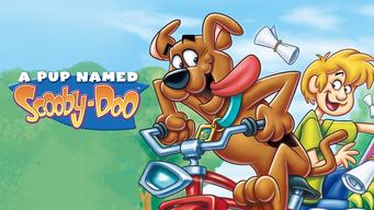 A Pup Named Scooby-Doo (1988)