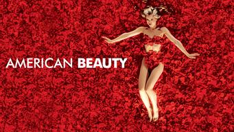 American Beauty (1999)