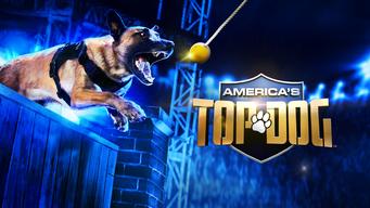 America's Top Dog (2020)