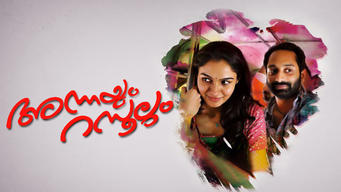 Annayum Rasoolum (Malayalam) (2013)