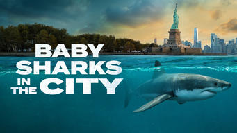 Baby Sharks in the City (2024)