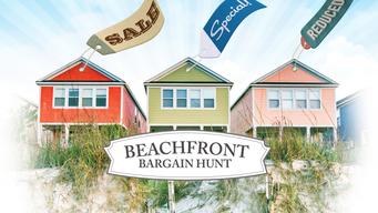 Beachfront Bargain Hunt (2013)