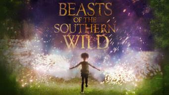 Beasts of the Southern Wild (2012)