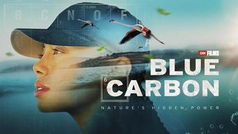 Blue Carbon: Nature's Hidden Power (2024)