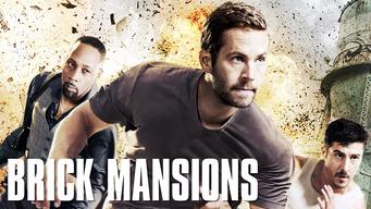 Brick Mansions (2014)