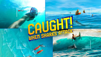 Caught! When Sharks Attack (2024)