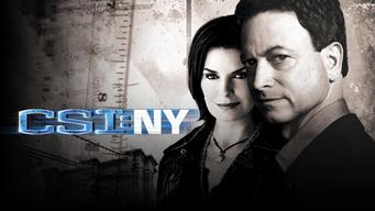 CSI: New York (2012)