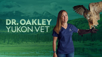 Dr. Oakley, Yukon Vet (2014)