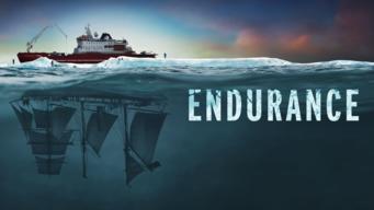 Endurance (2024)