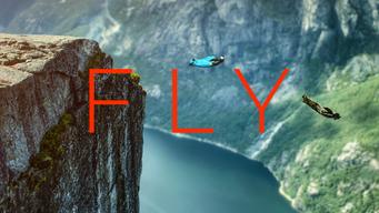 FLY (2024)