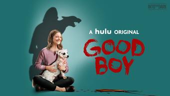 Good Boy (2020)