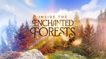 Inside the Enchanted Forests (2024)