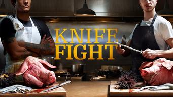 Knight Fight (2013)