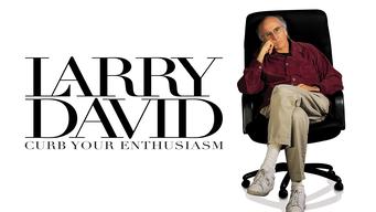 Larry David: Curb Your Enthusiasm (1999)