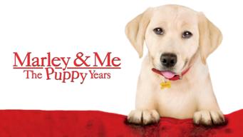 Marley & Me: The Puppy Years (2011)