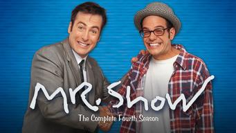 Mr. Show with Bob and David (1995)