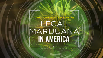 National Geographic Investigates - Legal Marijuana in America (2023)