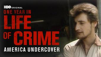 One Year in a Life of Crime: America Undercover (1989)