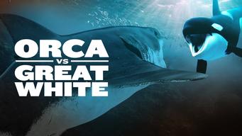 Orca vs. Great White (2021)