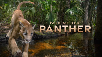 Path of the Panther (2023)