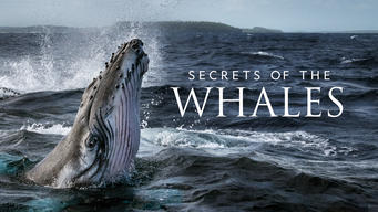 Secrets of the Whales (2021)