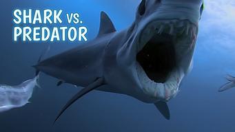 Shark vs. Predator (2017)
