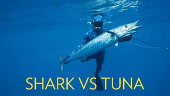 Shark vs. Tuna (2018)