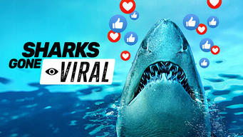 Sharks Gone Viral (2024)