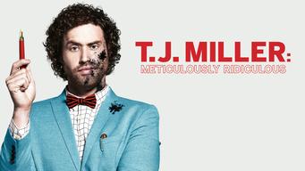 T.J. Miller: Meticulously Ridiculous (2017)