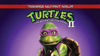 Teenage Mutant Ninja Turtles II: The Secret of the Ooze (1991)