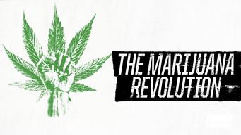 The Marijuana Revolution (2016)