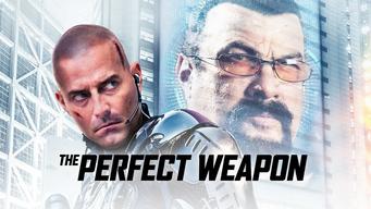 The Perfect Weapon (2020)