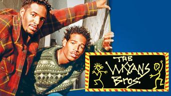 The Wayans Bros. (1995)