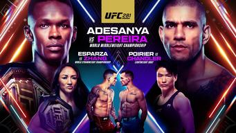 UFC 281: Adesanya vs Pereira (2022)