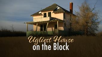 Ugliest House on the Block (2008)