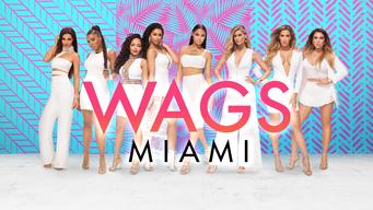 WAGS Miami (2016)