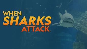When Sharks Attack (2018)